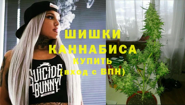 марки nbome Белокуриха