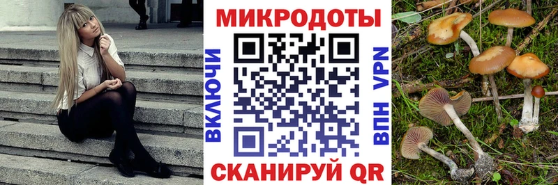 Галлюциногенные грибы прущие грибы Дыгулыбгей
